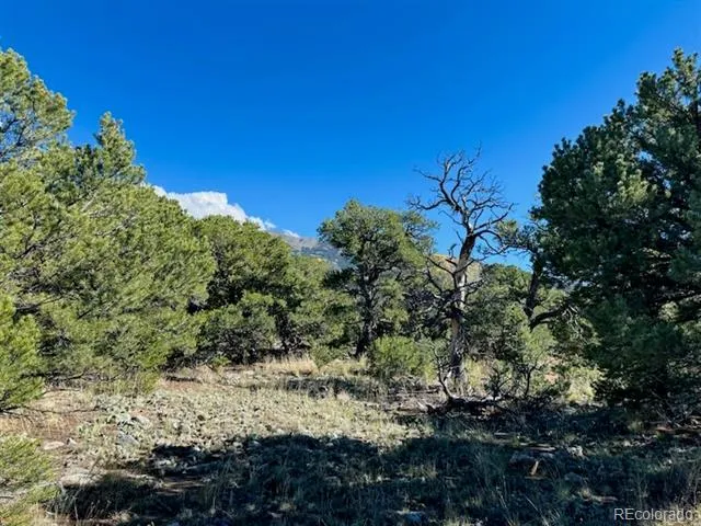 133 Cedar Ridge Road Mosca, CO 81146