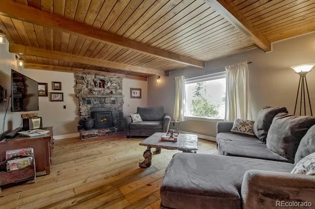 601 Bogue Street Fairplay, CO 80440