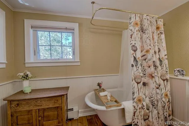 601 Bogue Street Fairplay, CO 80440