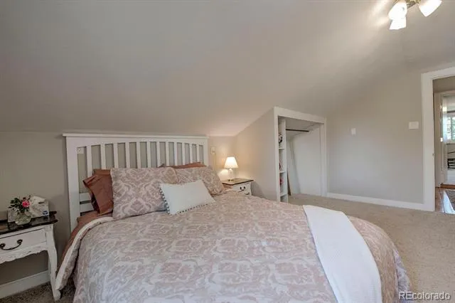 601 Bogue Street Fairplay, CO 80440