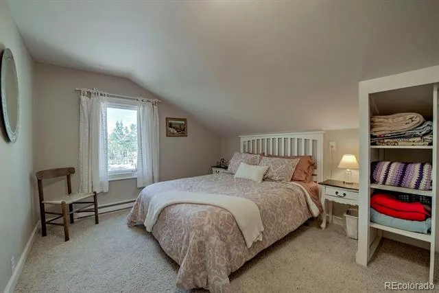 601 Bogue Street Fairplay, CO 80440