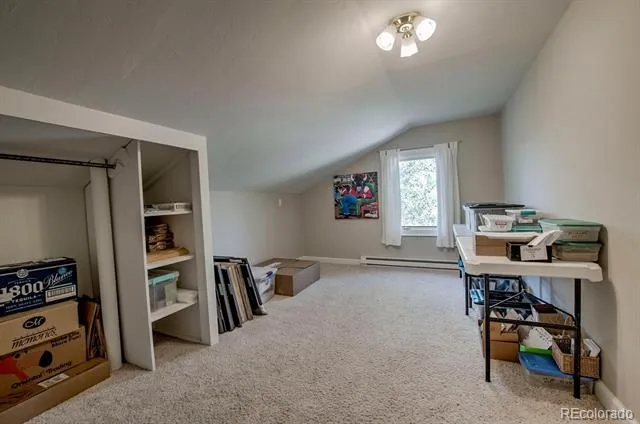 601 Bogue Street Fairplay, CO 80440