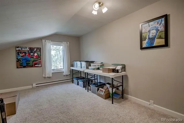 601 Bogue Street Fairplay, CO 80440