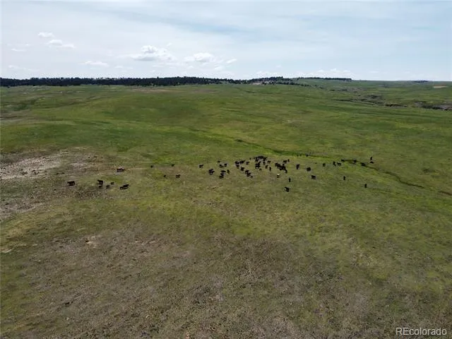 Lot 8 County Road 77 Calhan, CO 80808