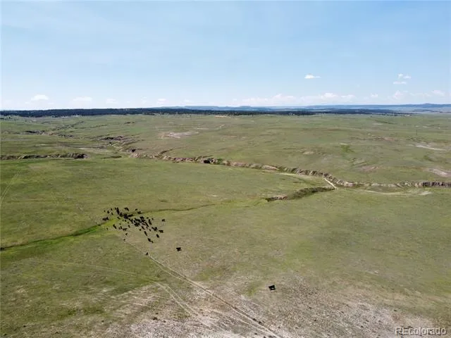 Lot 8 County Road 77 Calhan, CO 80808