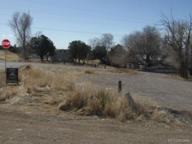00 Golden Avenue Crestone, CO 81131