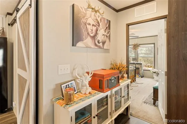 4247 Serene Way Crestone, CO 81131