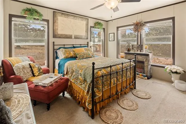 4247 Serene Way Crestone, CO 81131