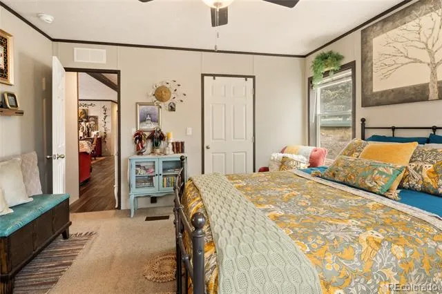4247 Serene Way Crestone, CO 81131