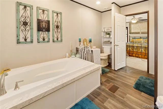 4247 Serene Way Crestone, CO 81131