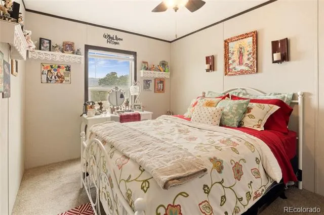 4247 Serene Way Crestone, CO 81131