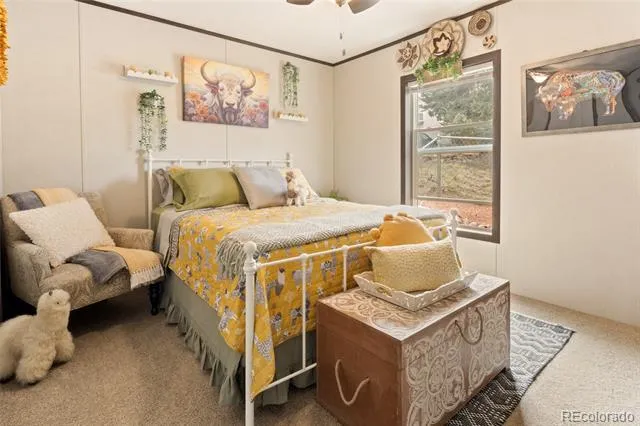 4247 Serene Way Crestone, CO 81131