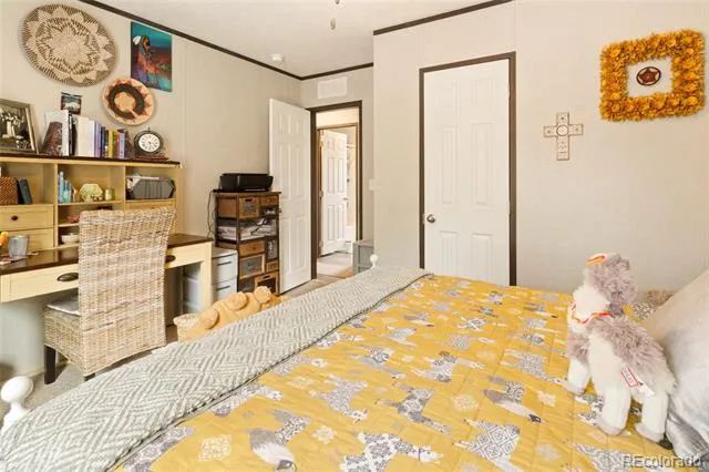 4247 Serene Way Crestone, CO 81131