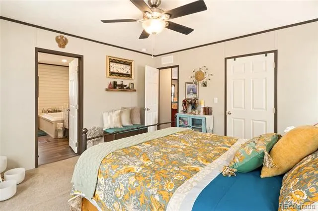 4247 Serene Way Crestone, CO 81131