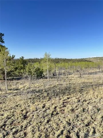 12 Loon Lane Como, CO 80432