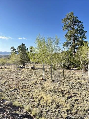 12 Loon Lane Como, CO 80432