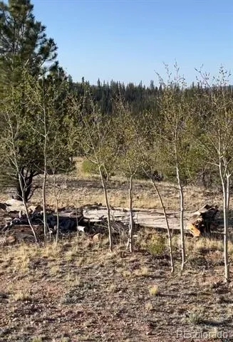 12 Loon Lane Como, CO 80432