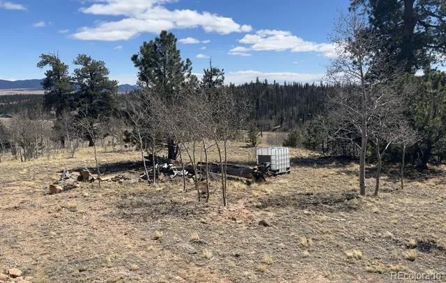12 Loon Lane Como, CO 80432