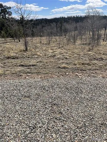 12 Loon Lane Como, CO 80432