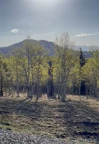 12 Loon Lane Como, CO 80432