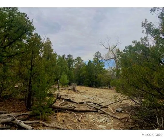 Pawnee Court Mosca, CO 81146
