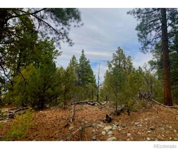 Pawnee Court Mosca, CO 81146