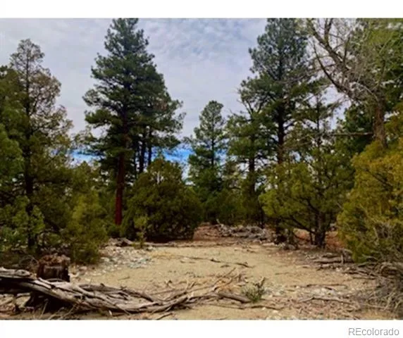 Pawnee Court Mosca, CO 81146