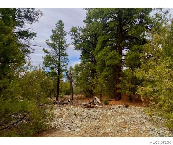 Pawnee Court Mosca, CO 81146