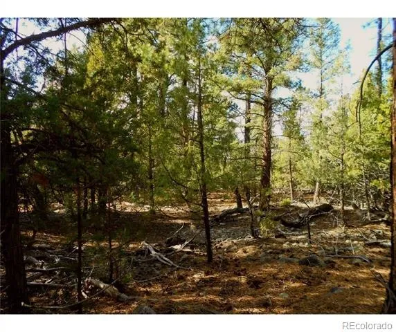 Pawnee Court Mosca, CO 81146