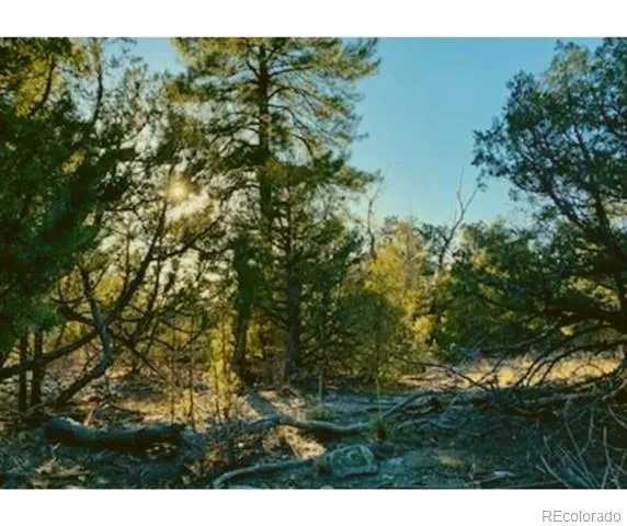 Pawnee Court Mosca, CO 81146