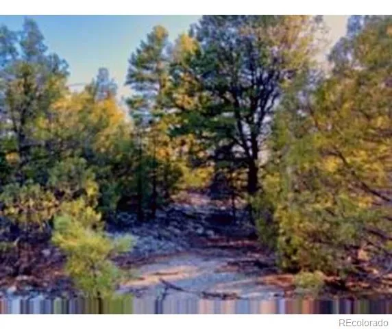 Pawnee Court Mosca, CO 81146