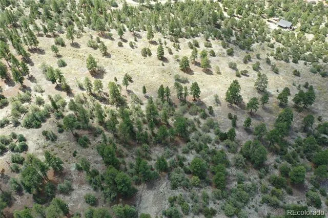 Pawnee Court Mosca, CO 81146