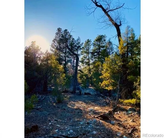 Pawnee Court Mosca, CO 81146