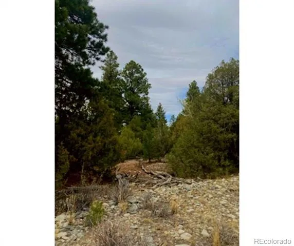 Pawnee Court Mosca, CO 81146