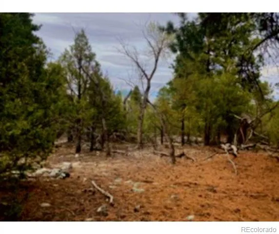 Pawnee Court Mosca, CO 81146