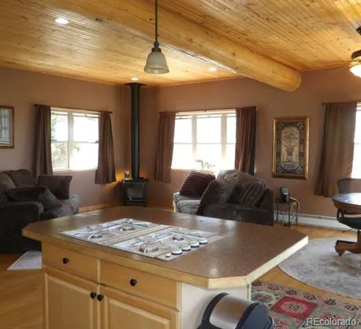 2720 Carefree Way Crestone, CO 81131