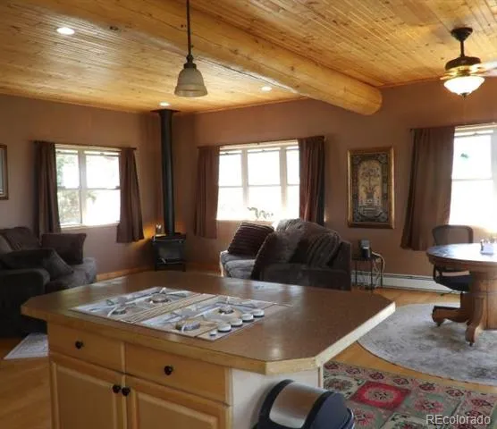 2720 Carefree Way Crestone, CO 81131