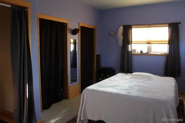 2720 Carefree Way Crestone, CO 81131
