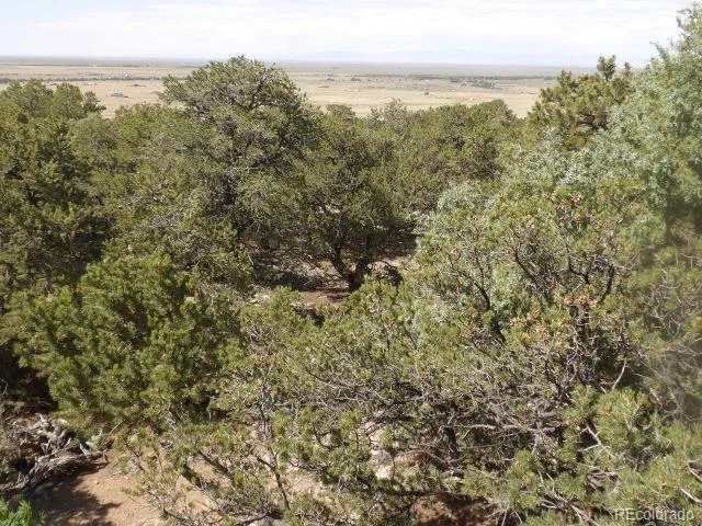 2720 Carefree Way Crestone, CO 81131