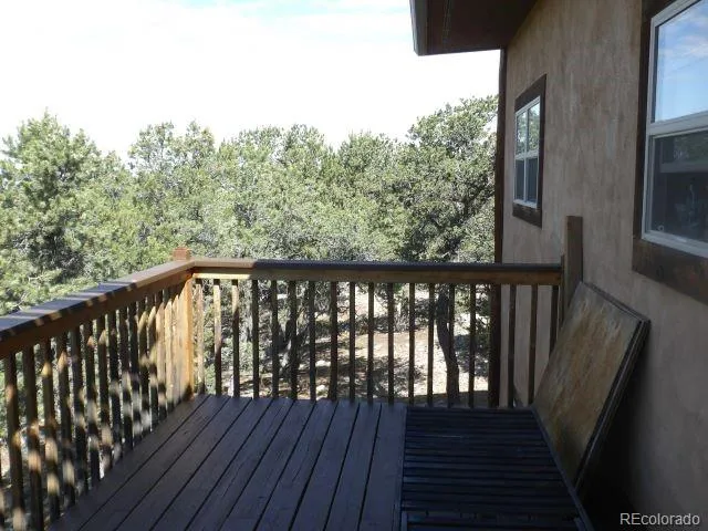 2720 Carefree Way Crestone, CO 81131