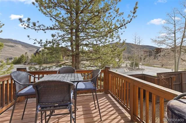 6 Crown Court #1967 Dillon, CO 80435