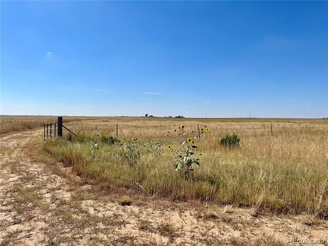 46850 County Road 46 Limon, CO 80828