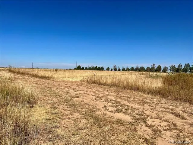46850 County Road 46 Limon, CO 80828