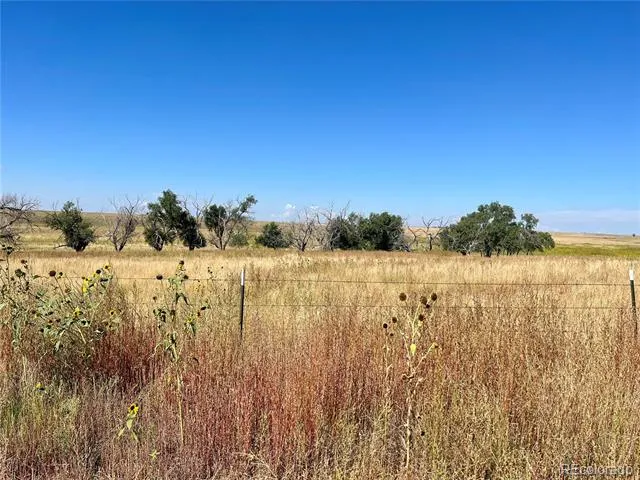 46850 County Road 46 Limon, CO 80828