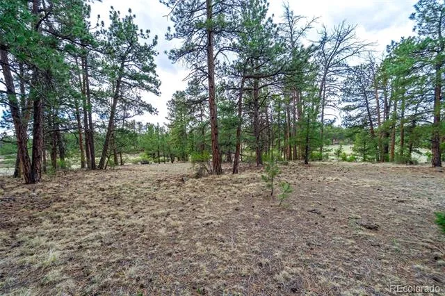 Tract 103 Doe Valley Road Guffey, CO 80820