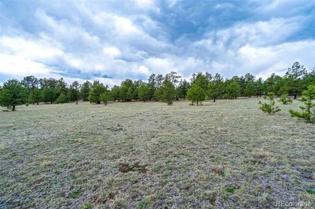 Tract 103 Doe Valley Road Guffey, CO 80820