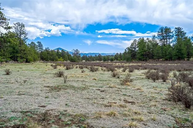 Tract 103 Doe Valley Road Guffey, CO 80820
