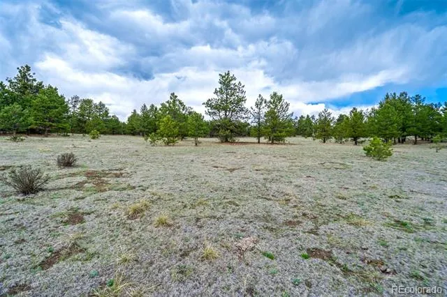 Tract 103 Doe Valley Road Guffey, CO 80820