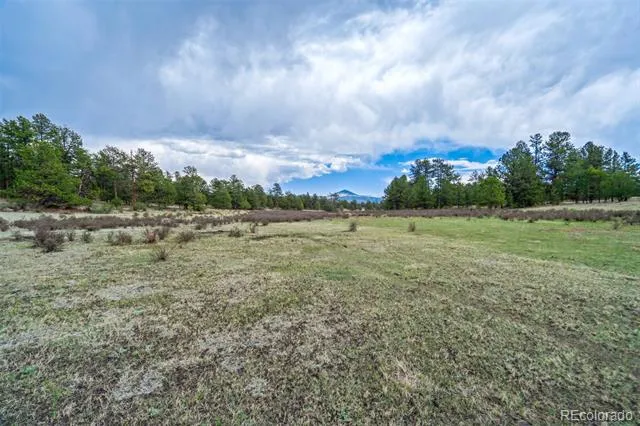 Tract 103 Doe Valley Road Guffey, CO 80820