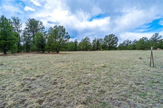 Tract 103 Doe Valley Road Guffey, CO 80820